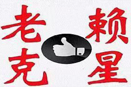 安化追帐公司